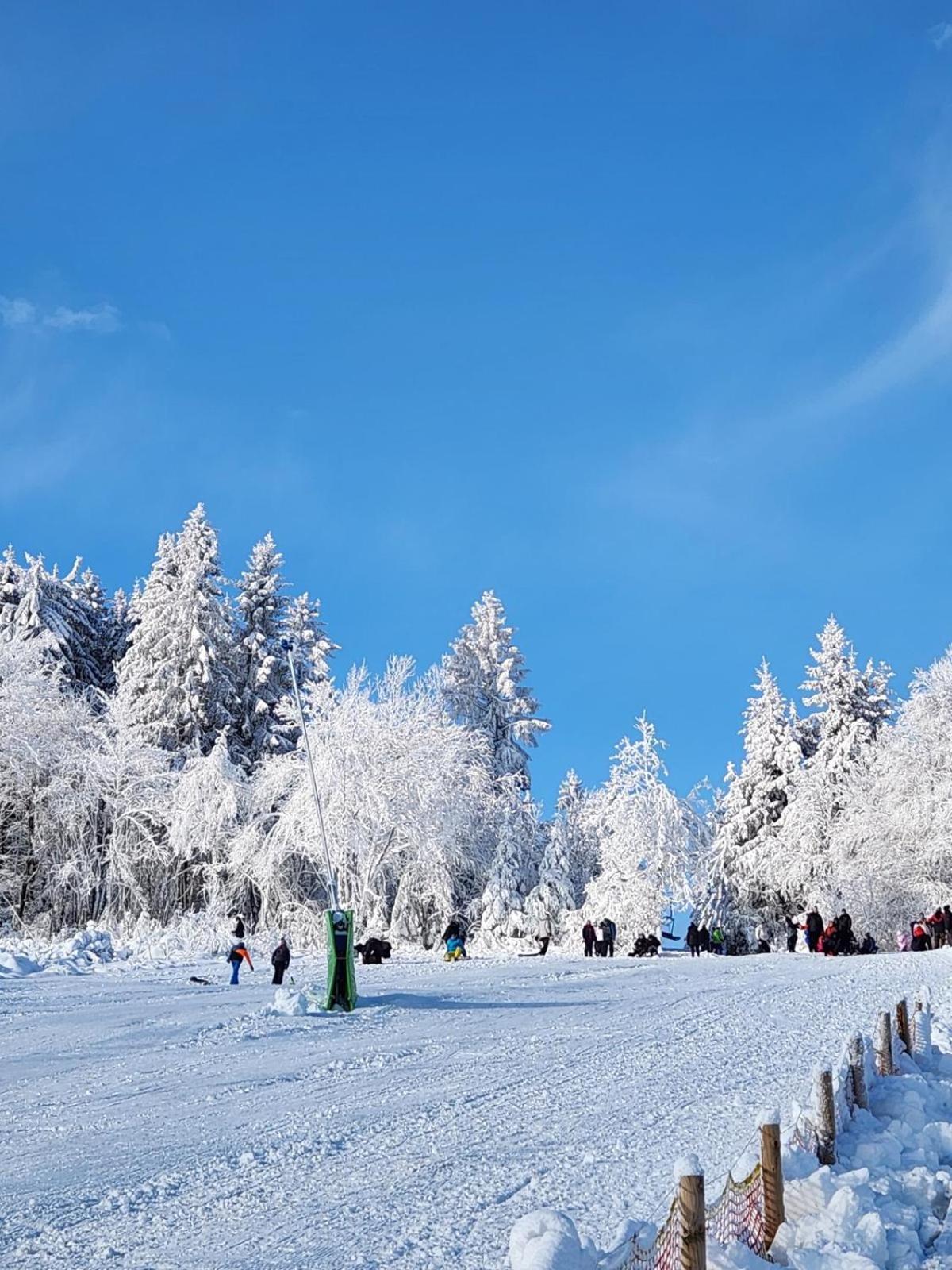 Apartment Haus Nina Near Willingen And Winterberg